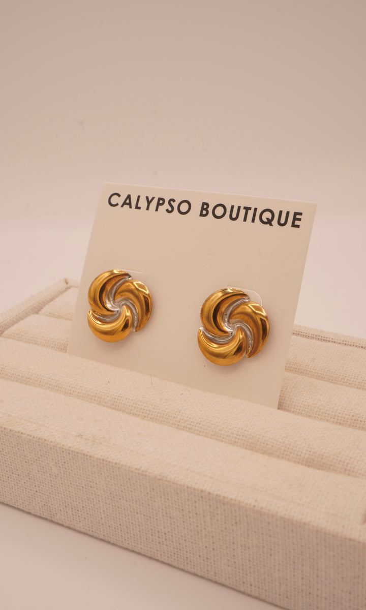 Enrich Earring