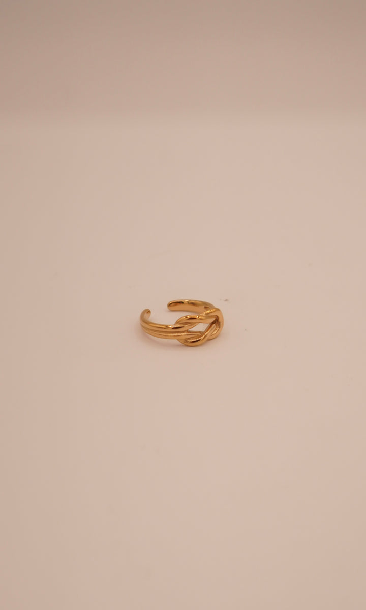 Sing Ring