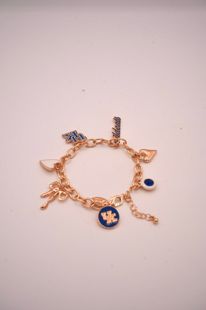 Wildcats Charm