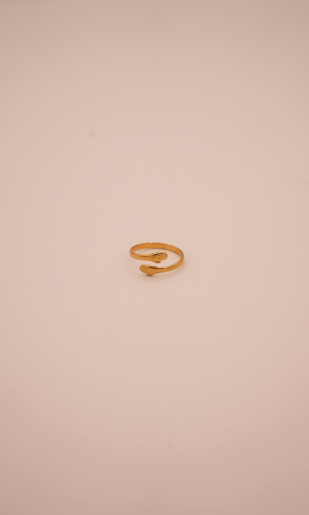 Friendship Ring