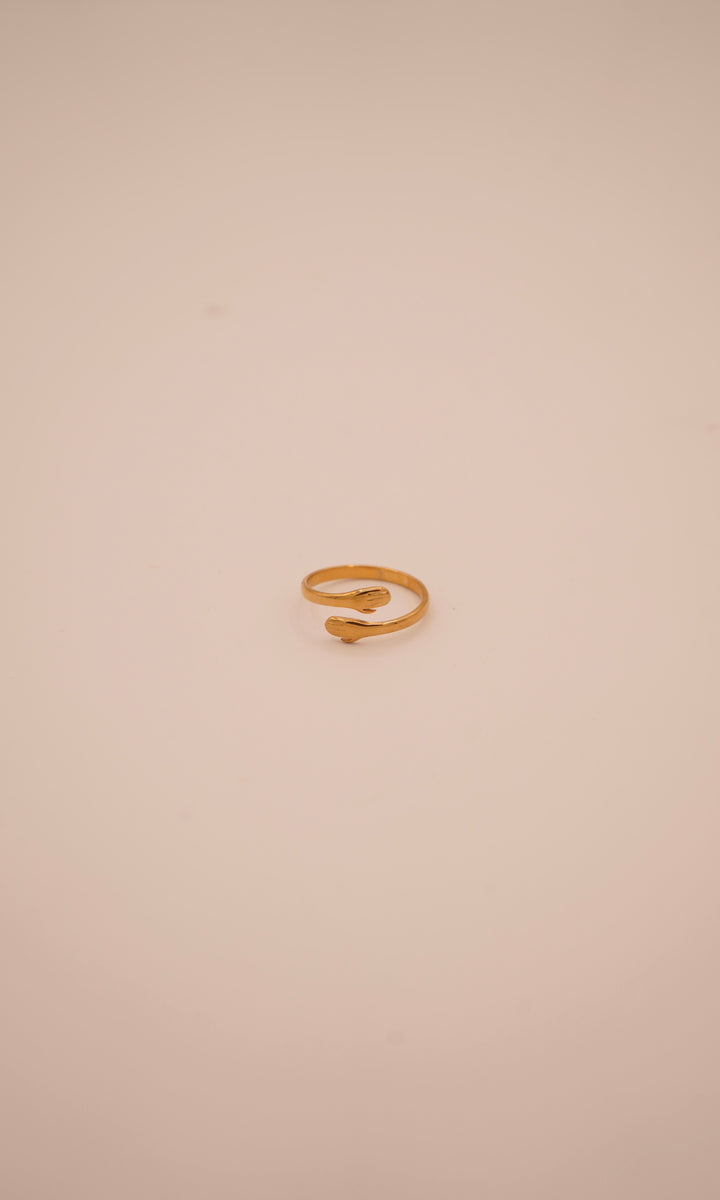 Friendship Ring