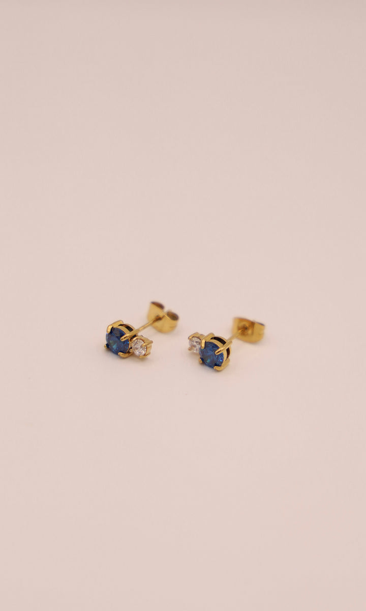 Hoops Earring