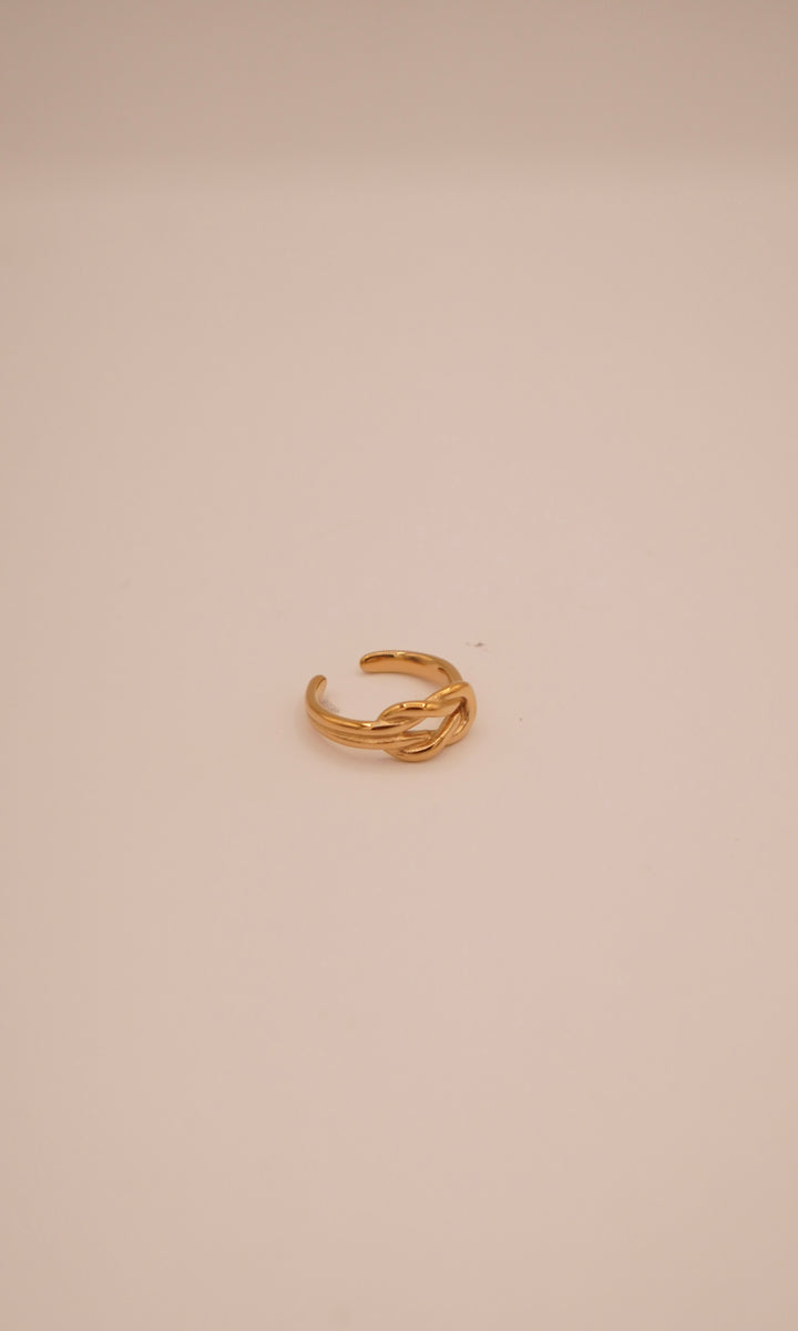 Sing Ring