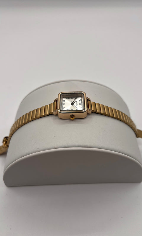 Eternity Watch