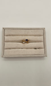 Cancelled Ring