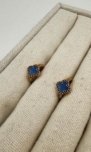 Ash Earring