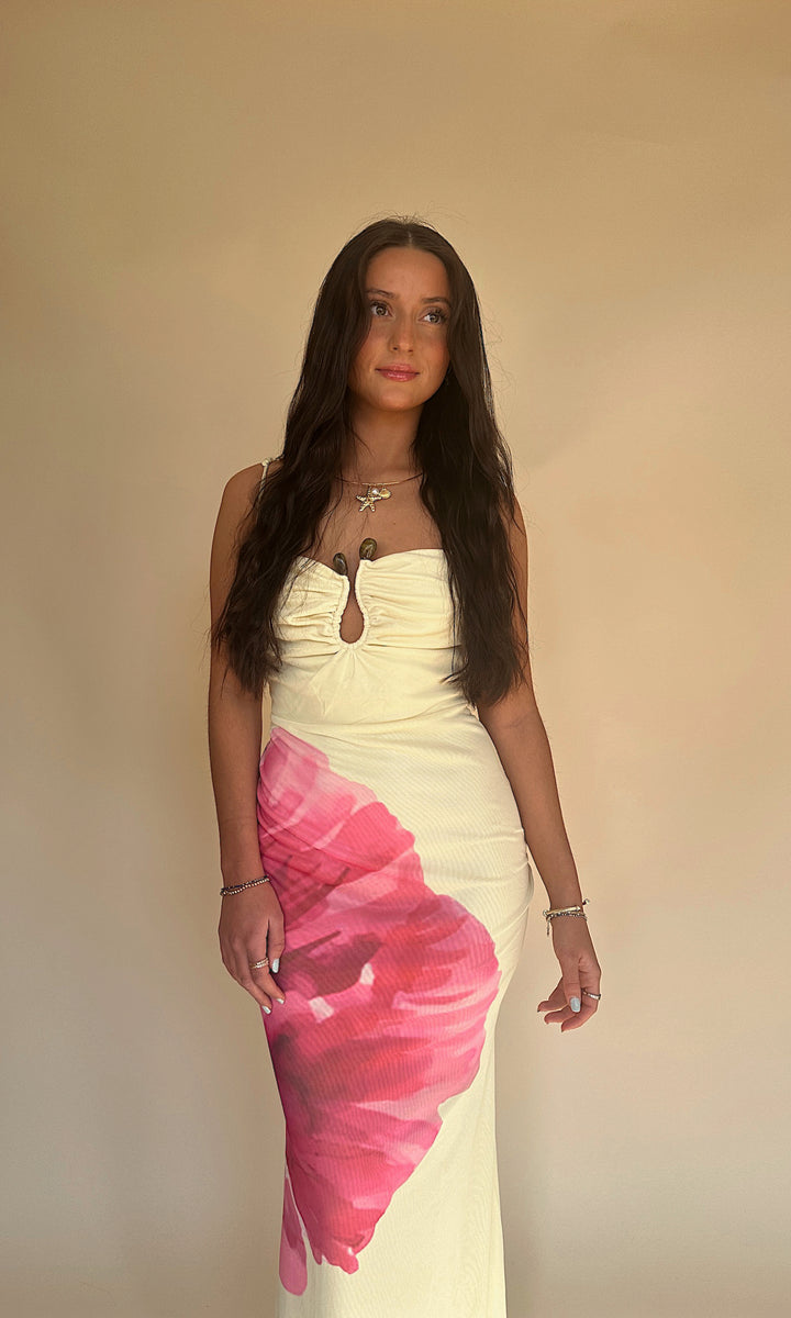 Starting Fresh Dress