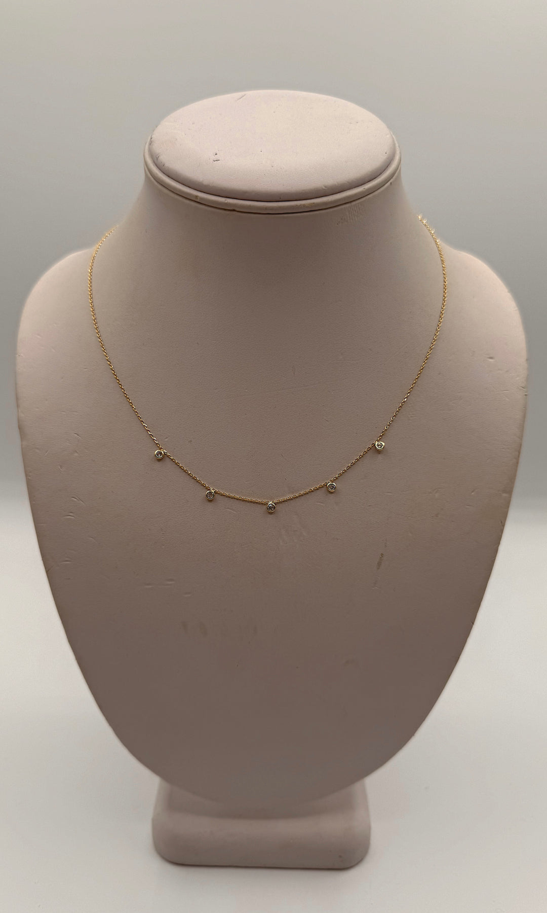 The Citizen Necklace