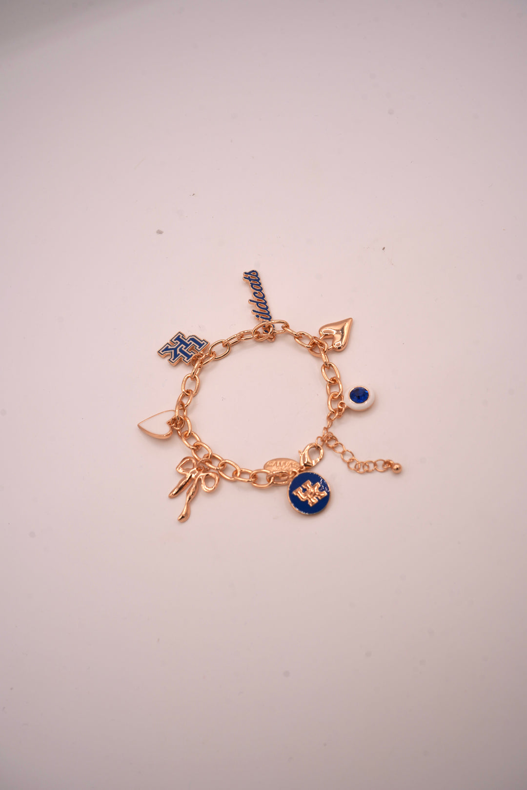 Wildcats Charm