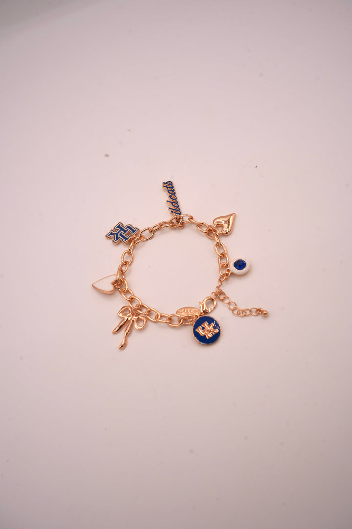 Wildcats Charm