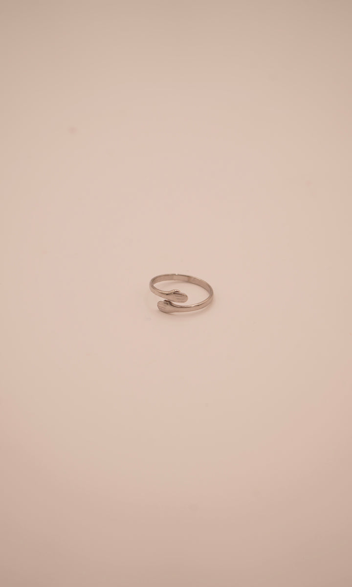 Friendship Ring