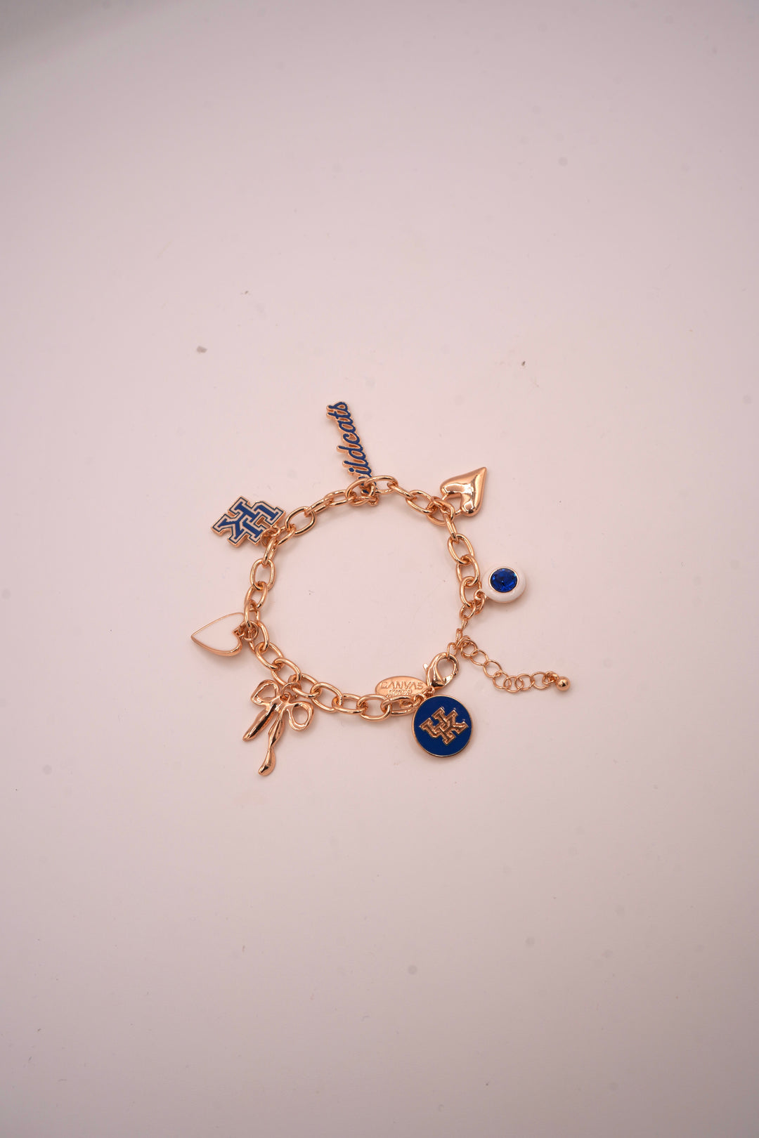 Wildcats Charm