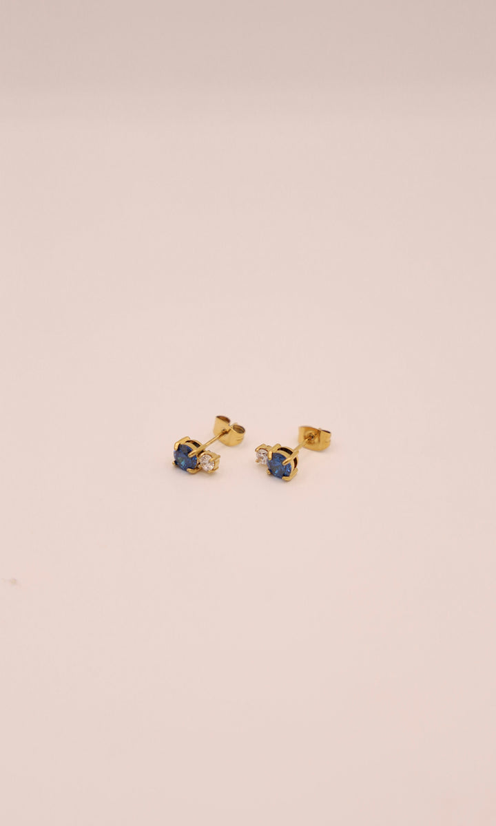 Hoops Earring