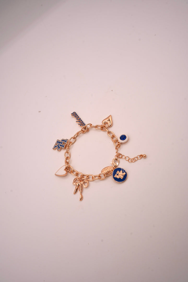 Wildcats Charm