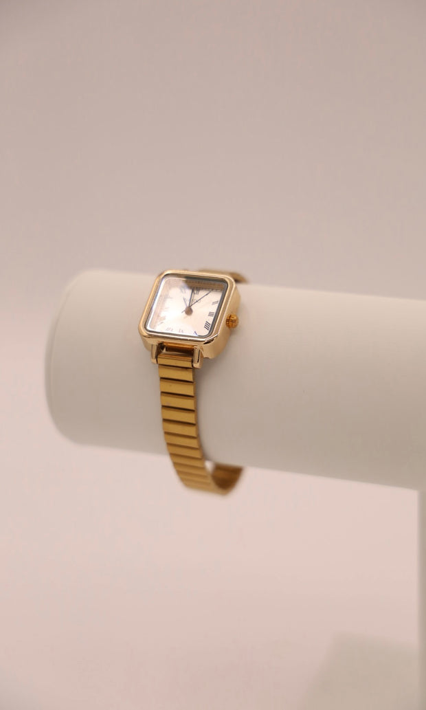Eternity Watch
