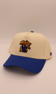 Nothing But Net Hat