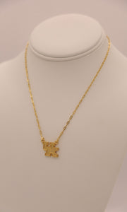 KY DNA Necklace
