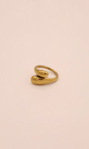 Another Life Ring