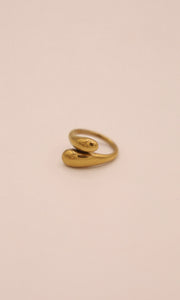 Another Life Ring